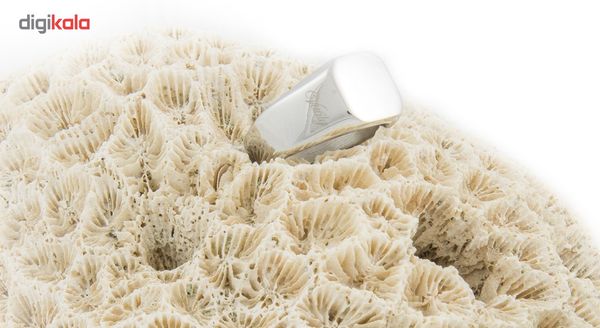 انگشتر مردانه مدل Silver Luxury