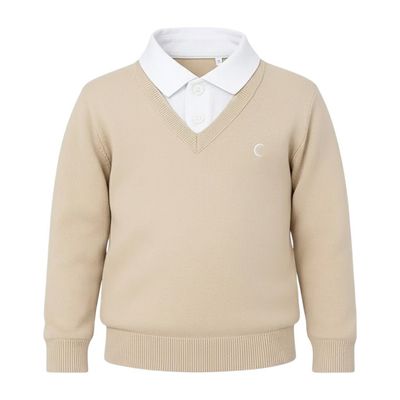 پلیور یقه برگردان پسرانه مدل MDSS-CH5148