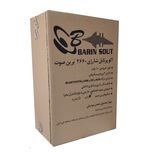 اکو پرتابل برین صوت مدل 2660W به همراه میکروفن بی سیم
