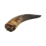 تشویقی سگ هاپومیل مدل شاخ گاو کد Buffalo Horn S وزن 100 گرم