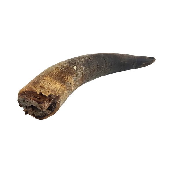 تشویقی سگ هاپومیل مدل شاخ گاو کد Buffalo Horn S وزن 100 گرم