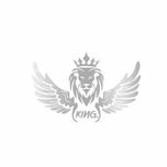 برچسب بدنه خودرو رادیانس طرح LionFly کد B33