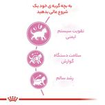 غذای خشک گربه رویال کنین مدل بالغ عقیم شده وزن 2 کیلوگرم
