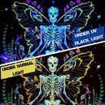 پوستر پارچه ای فیانی مدل بک دراپ بلک لایت کد F113