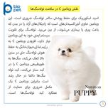 مکمل توله سگ بایو پت مدل Puppy وزن 400 گرم