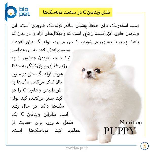مکمل توله سگ بایو پت مدل Puppy وزن 400 گرم