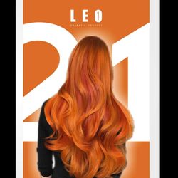 شامپو رنگ لئو وان LEO کد 21