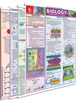 پوستر مطالعه سریع زیست شناسی- اصول اولیه زیست شناسی 1