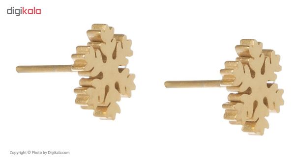 گوشواره میخی طرح برف*895