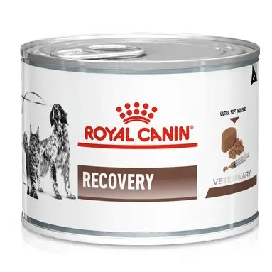 کنسرو ریکاوری سگ و گربه ی رویال کنین / Royal canin recovery