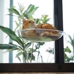 جای خواب گربه مدل پنجره ای