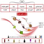 عطر جیبی مردانه یاغیش مدل CK12 حجم 24 میلی لیتر مجموعه 4 عددی