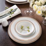 سرویس غذاخوری 102 پارچه چینی زرین ایران مدل ایتالیا اف ریوا درجه عالی