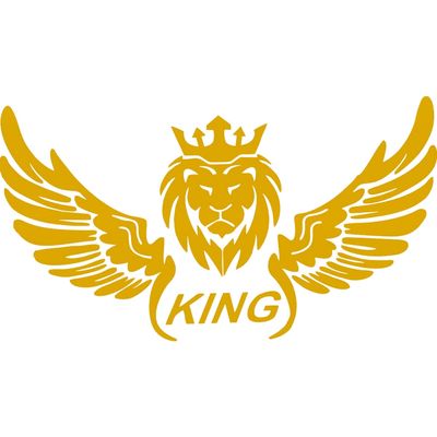 برچسب بدنه موتور طرح بال طلایی کدSM200*797