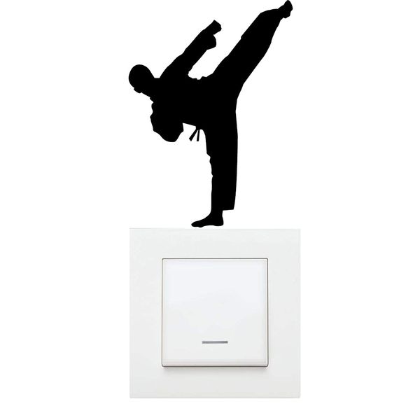 استیکر مدل تکواندو