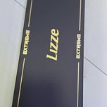 قبل خرید تماس بگیرید اتوی لیز اصل جعبه مخملی