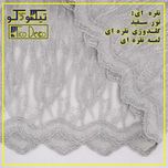 پرده تیکو دکو مدل تور فول امبرویدری کد 955 سایز 280*150 سانتیمتر مجموعه دو عددی