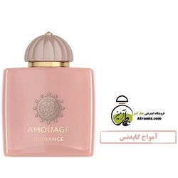 عطر آمواج گایدنس | Amouage Guidance
