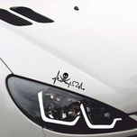 برچسب بدنه خودرو ماتریسیو طرح ضربان قلب اسکلت کد M188