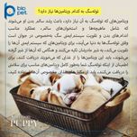 مکمل توله سگ بایو پت مدل Puppy وزن 400 گرم