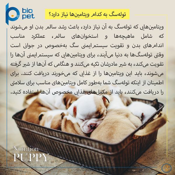 مکمل توله سگ بایو پت مدل Puppy وزن 400 گرم
