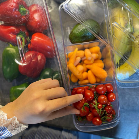 نظم دهنده یخچال سایز 1