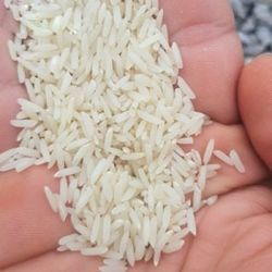 برنج طارم هاشمی کشت دوم 20 کیلویی