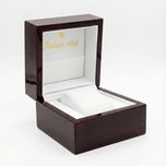 ساعت مچی عقربهای اتوماتیک مردانه سوئیس آرت مدل ANT156GR0007