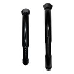 گلگیر 28فونیکس