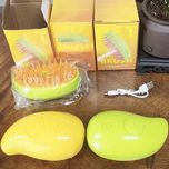 برس مدل بخار دار