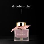 عطر ادکلن باربری مای باربری بلاش جانوین 100میل Burberry My Burberry Blush johnwin