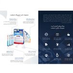 کیت بلیچینگ سفید کننده دندان خانگی دنتیلایت مدل Smile مجموعه 5 عددی