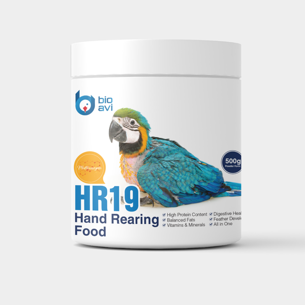 غذای کمکی جوجه طوطی سانان بایو اوی مدل HR19 وزن 500 گرم