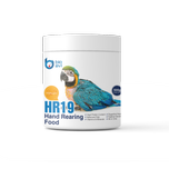 غذای کمکی جوجه طوطی سانان بایو اوی مدل HR19 وزن 500 گرم