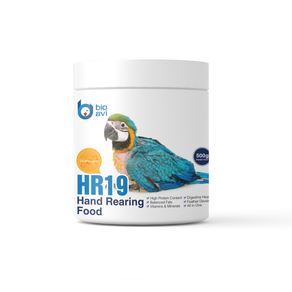 غذای کمکی جوجه طوطی سانان بایو اوی مدل HR19 وزن 500 گرم
