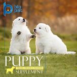 مکمل توله سگ بایو پت مدل Puppy وزن 400 گرم