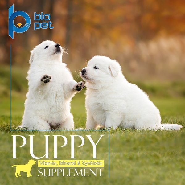 مکمل توله سگ بایو پت مدل Puppy وزن 400 گرم