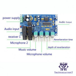برد اکو و پری آمپلی فایر حرفه ای XH-M173