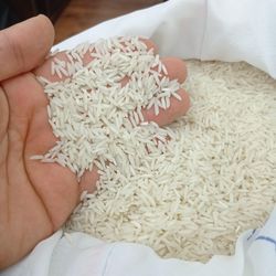 برنج شیرودی 5 کیلویی