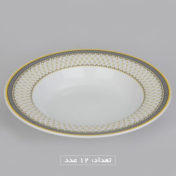 سرویس چینی 102 پارچه غذا خوری چینی زرین ایران سری ایتالیا اف مدل ویلیج درجه یک