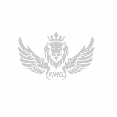 برچسب بدنه خودرو رادیانس طرح LionFly کد B32