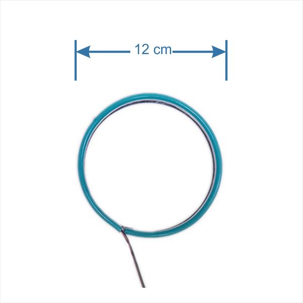 حلقه نئون چراغ خودرو مدل T12 BL بسته 2 عددی