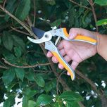 قیچی باغبانی اینکو مدل HPS-0308