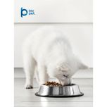 غذای خشک هالستیک توله سگ بایو پت مدل Puppy وزن 3.5 کیلوگرم