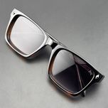 عینک آفتابی ویفرر (Wayfarer) آلبرت وگ مدل SZ8102 Tortoise Obsidian