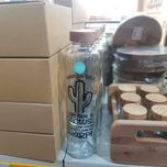 بطری میس گلس مدل ایوان کاکتوس کد DH93