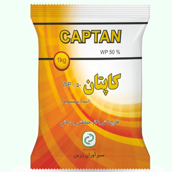 کاپتان هندی وزن یک کیلوگرم (تاریخ انقضا فوریه 2026)