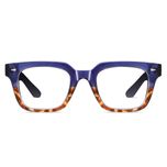 عینک محافظ چشم آلبرت وگ مدل S31105C4-1 Acetate Blue Control