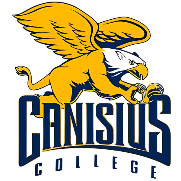 برچسب اتویی یا استیکر حرارتی لباس مدل Canisius