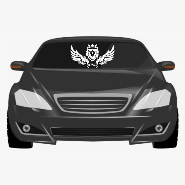 برچسب بدنه خودرو ماتریسیو طرح بال کد M07